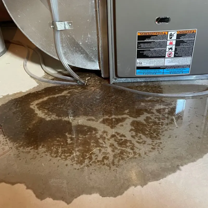 Pipe Burst and Leak Restoration in Bethel Acres, OK